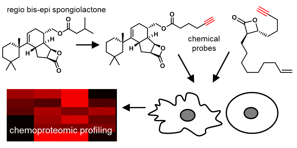 TOC_ChemComm_2017_12818